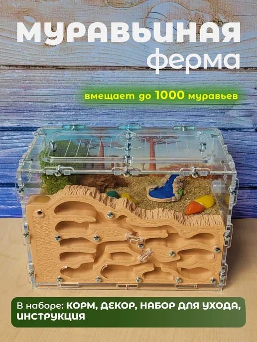 Вертикальная муравьиная ферма из гипса