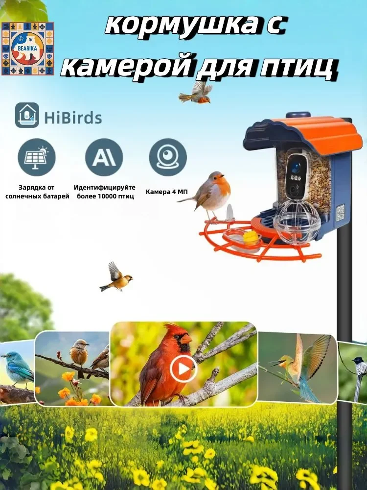 Кормушка для птиц с камерой
