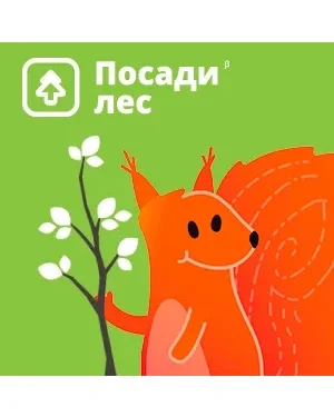 Сертификат на посадку деревьев «Посади лес» — фото 1