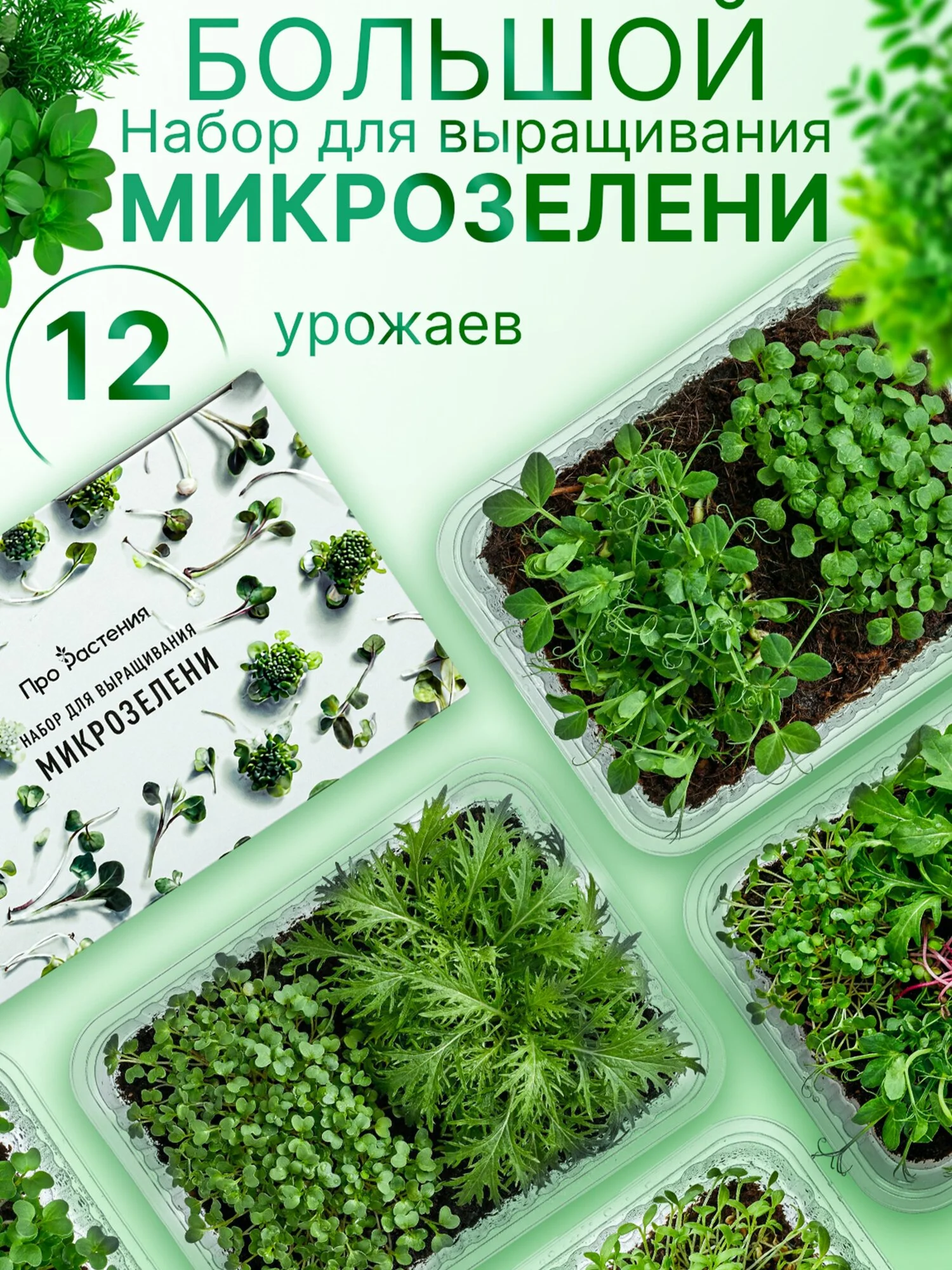 Набор для выращивания микрозелени на 12 урожаев