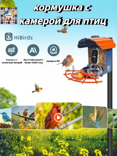 Кормушка для птиц с камерой